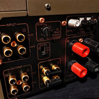 BOSE PLS-1310 美品，ピックアップ新品交換済み