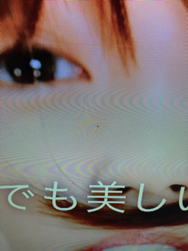 エイブイ:アイリスオーヤマ 32V型 液晶テレビ