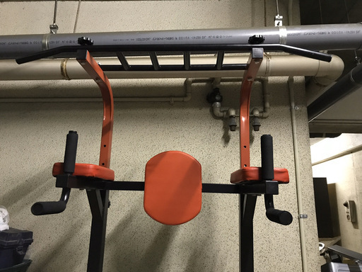 懸垂マシン マット付 ぶら下がり健康機 健康器具 トレーニング 