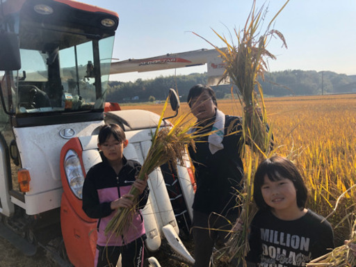 【令和元年産 新米】福岡県産もち米 ヒヨクモチ　【ひよくもち】【九州産】1キロ400円から