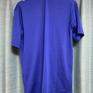 ZETT ブルー ピチピチの画像