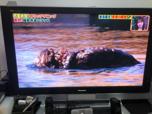 プラズマテレビ 50型