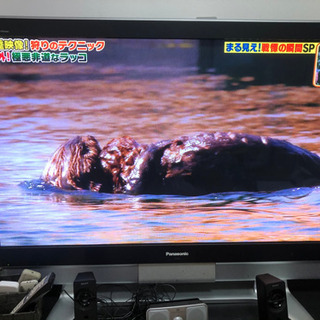 プラズマテレビ 50型
