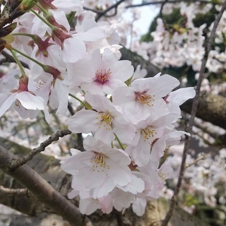夜の自分の時間をどう過ごしたらいいのかって思ってる人限定Σ(･ω...