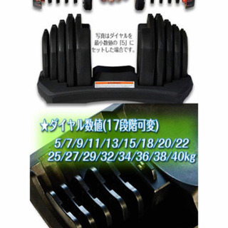 可変ダンベル 40kg x 2 (合計80kg)