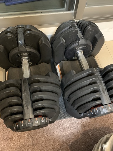 可変ダンベル 40kg x 2 (合計80kg)