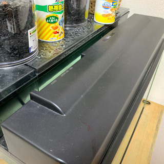GEX 60 水槽の画像