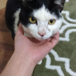 優しい方お願いします。