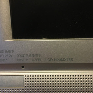 TVの画像