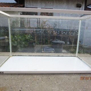 観賞魚用水槽　ろ過幾付き