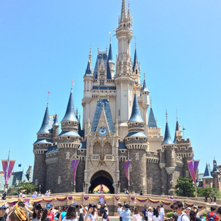 一緒にディズニー行きませんか🌟