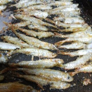 釣りに行こうよ～ - メンバー募集