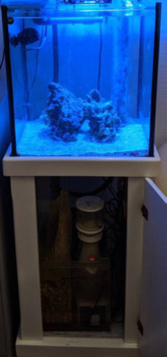 ガラス オーバーフロー水槽 引き取り限定 フランジ付き マーフィード