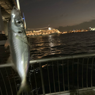 釣り仲間募集しています。 − 東京都