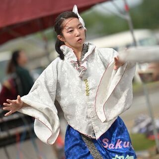 YOSAKOI Sakura吹舞輝 メンバー募集 - その他
