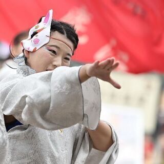 YOSAKOI Sakura吹舞輝 メンバー募集 - 鹿沼市