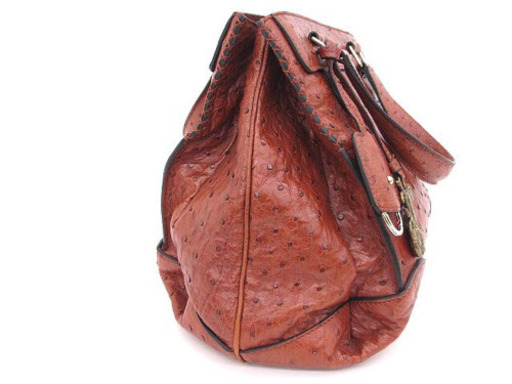 美品 セリーヌ 馬車チャーム付き オーストリッチ 2way ショルダーバッグ