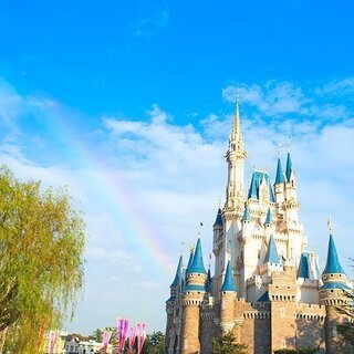 ディズニーでショーパレを一緒に楽しみましょう♪