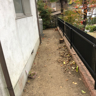 庭の雑草、庭木伐採、その他お任せください - その他