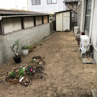庭の雑草、庭木伐採、その他お任せください - 岡山市
