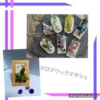 ハーバリウム:アロマワックスカップ:着付け教室     レモンバーム　　　　　　　の画像