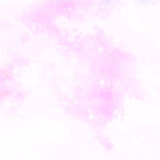 女性S〜Mサイズのトップス45Lぱんぱん袋詰め①