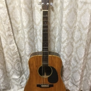 TOKAI GAKKI Cats Eyes キャッツアイ アコー...