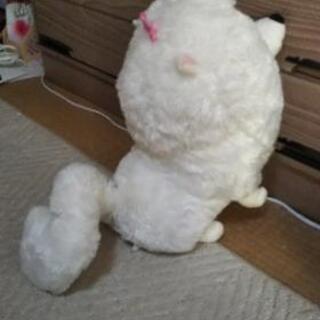 ぬいぐるみの画像