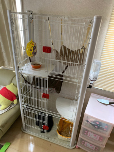 キャットケージ