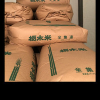 古米　コシヒカリミルキィクインのブレンド米　詳しくは紹介文を！