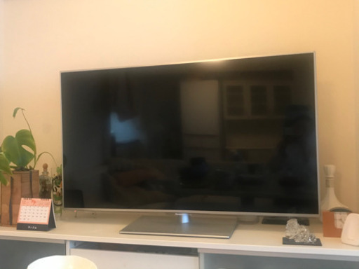 一月中旬まで！Panasonic SMART VIERA E60 TH-L50E60