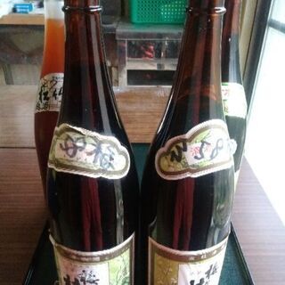梅酒