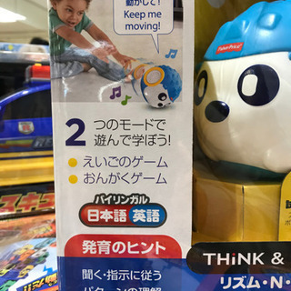 🎄ラッピング済🎄バイリンガル・ヘッジホッグの画像