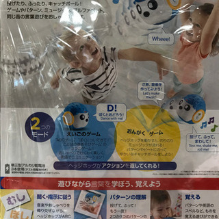 🎄ラッピング済🎄バイリンガル・ヘッジホッグの画像