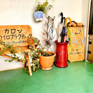 整体カイロプラクティック モニター