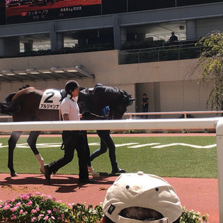 阪神競馬場行きませんか？