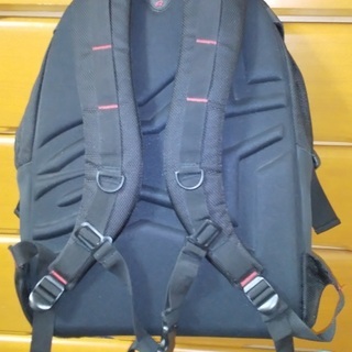 ご相談中：alpinestars　リュックサック（ＵＳＥＤ）の画像
