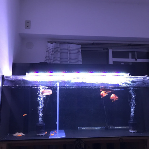 値下げ1500×600×600水槽