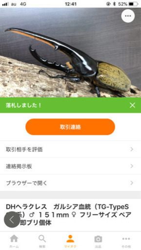 ヘラクレスオオカブト幼虫初令〜3令後期