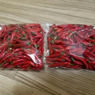 唐辛子☆赤とうがらしの画像