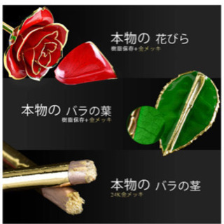 プレゼント用　バラ