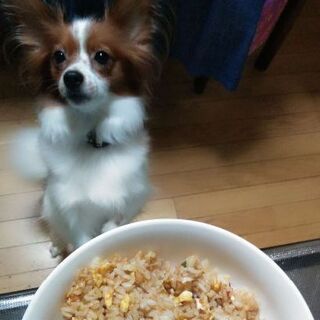みんなで広げよう
