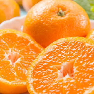 ☃️冬と言えばコタツでミカン🍊✨✨ミカン好き仲間ぼしゅー‼️