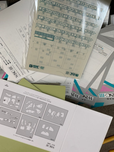 WISC-III日本版知能検査法ウィスク3発達障害心理学自閉症特別