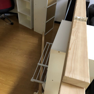ヒノキの木