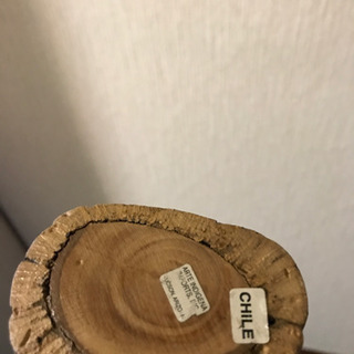 【レア】レインスティック　チリ製の画像