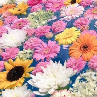 お花 譲ってください