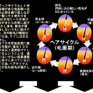 気になる薄毛に医薬部外品で発・育・脱毛予防■活性マグマベントナイト＆頭皮のマッサージローラー付の画像