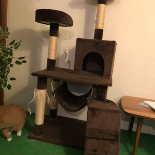 【取引中‼︎14日引き渡し予定】キャットタワー ハンモック付 ブラウン