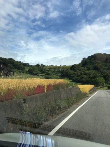 新米コシヒカリ 長野県小諸市産